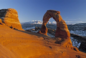 American West Scenic Views Prints: Delicate Arch
