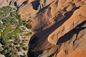 Desert & fertile land, Namib Desert, Namibia aerial view Desert & fertile land, Namib Desert, Namibia aerial view