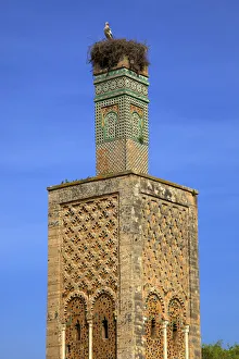 Details of The Minaret with Nesting Stork at The Ruins of Chellah, Rabat, Morocco Details of The Minaret with Nesting Stork at The Ruins of Chellah, Rabat, Morocco