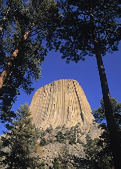 Devils Tower Wyoming Prints: Devils Tower