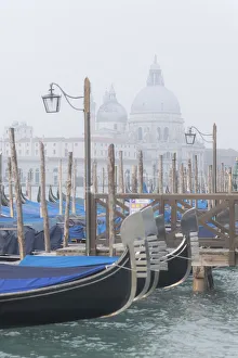 Docked gondolas along the Riva degli Schiavoni, near Piazza San Marco Docked gondolas along the Riva degli Schiavoni, near Piazza San Marco