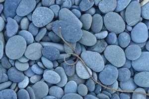 Driiftwood and pebbles at Rialto Beach, Olympic National Park, Clallam County, Washington Driiftwood and pebbles at Rialto Beach, Olympic National Park, Clallam County, Washington