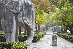 Elephant statues on Stone Statue Road at Ming Xiaoling (Ming dynasty tomb and UNESCO Elephant statues on Stone Statue Road at Ming Xiaoling (Ming dynasty tomb and UNESCO