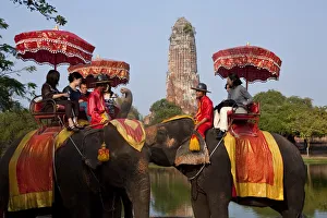 Elephant tourist rides, Ayutthaya, Thailand Elephant tourist rides, Ayutthaya, Thailand
