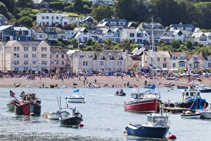 Sheldon Beach and Harbour Print, Devon, England