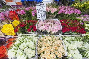 England, London, Columbia Road Flower Market, Display of Roses England, London, Columbia Road Flower Market, Display of Roses