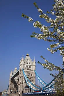 England, London, Tower Bridge and River Thames England, London, Tower Bridge and River Thames