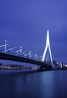 Erasmus Bridge Rotterdam Prints: Erasmus Bridge
