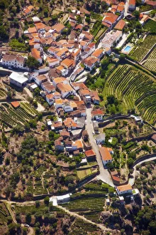 Europe, Portugal, Tras-os-Montes e Alto Douro, Douro Valley aerial view of vineyards Europe, Portugal, Tras-os-Montes e Alto Douro, Douro Valley aerial view of vineyards