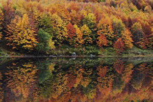 Fall reflection at the Lago Baccio, Central Appennines, Emilia Romagna, Italy Fall reflection at the Lago Baccio, Central Appennines, Emilia Romagna, Italy