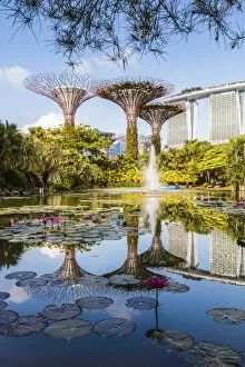Hotel Collection: The famous Supertree grove at Gardens by the Bay, Singapore