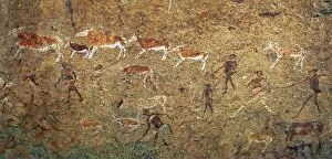 Cave Painting Collection: The famous White Lady rock painting in Maack s