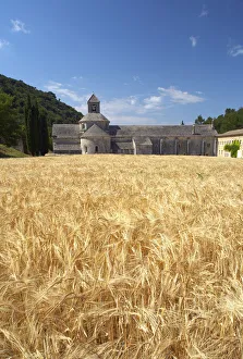 Field of Barley & Senanque Abbey, Alpes de Haute, Provence, France Field of Barley & Senanque Abbey, Alpes de Haute, Provence, France