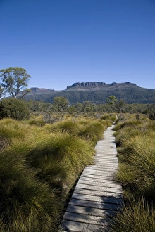 The final stretch of the Overland track to Narcissus Hut The final stretch of the Overland track to Narcissus Hut