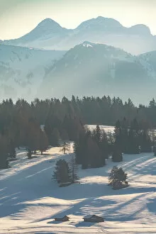 Alpe Di Siusi Collection: The first light of the day hitting the snowy meadows of the Alpe di Siusi (Seiser Alm)