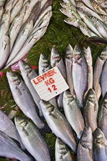 Fish for sale in the Egyptian Bazaar, Istanbul Fish for sale in the Egyptian Bazaar, Istanbul