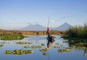 Fisherman, Agua and Pacaya Volcanoes in the background Fisherman, Agua and Pacaya Volcanoes in the background