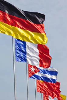 Asian Flags Prints: Flags