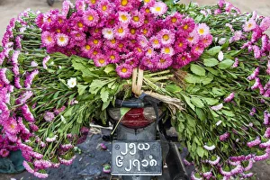 Flowers on back of motorcycle, market, Mandalay, Myanmar (Burma) Flowers on back of motorcycle, market, Mandalay, Myanmar (Burma)