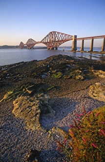 Print of The Forth Rail Bridge