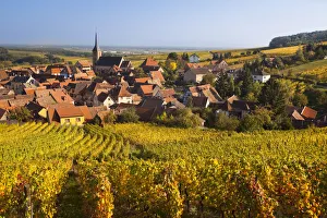 France, Bas-Rhin, Alsace Region, Alasatian Wine Route, Blienschwiller, town overview France, Bas-Rhin, Alsace Region, Alasatian Wine Route, Blienschwiller, town overview