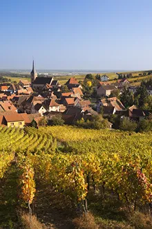 France, Bas-Rhin, Alsace Region, Alasatian Wine Route, Blienschwiller, town overview France, Bas-Rhin, Alsace Region, Alasatian Wine Route, Blienschwiller, town overview