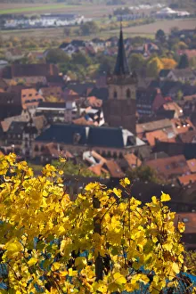 France, Bas-Rhin, Alsace Region, Alasatian Wine Route, Obernai, town overview France, Bas-Rhin, Alsace Region, Alasatian Wine Route, Obernai, town overview