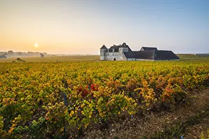 Print of Clos de Vougeot Vineyards, Bourgogne-Franche-Comte Region