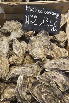France, Brittany, Saint Malo, Oysters for Sale France, Brittany, Saint Malo, Oysters for Sale