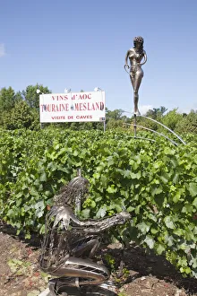 France, Loire Valley, Vineyards near Chaumont France, Loire Valley, Vineyards near Chaumont