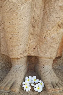 Frangipani flowers at feet of statue of Parakramabahu, Southern Ruins, Polonnaruwa Frangipani flowers at feet of statue of Parakramabahu, Southern Ruins, Polonnaruwa