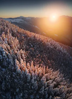Frozen forests of the Appennines near Passo delle Radici, Appennino Tosco Emiliano Frozen forests of the Appennines near Passo delle Radici, Appennino Tosco Emiliano