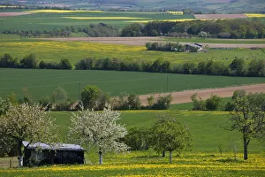 Germany, Rhineland-Palatinate, Mulbach, spring fields Germany, Rhineland-Palatinate, Mulbach, spring fields