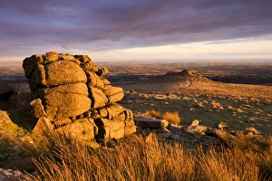 Golden sunshine glows against the granite outcrops at Belstone Tor, Dartmoor National Park Golden sunshine glows against the granite outcrops at Belstone Tor, Dartmoor National Park