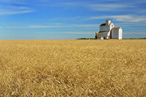 Print of Grain Elevator in Lang, Saskatchewan, Canada