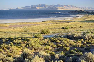 Great Salt Lake, Antelope Island State Park, Salt Lake City, Utah, USA Great Salt Lake, Antelope Island State Park, Salt Lake City, Utah, USA