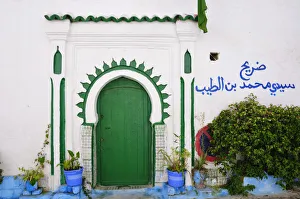 Green door and flowers of the Tanger medina. Morocco Green door and flowers of the Tanger medina. Morocco