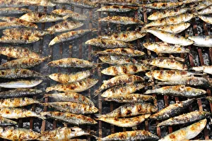 Grilled sardines. Winter Festivities. Grijo de Parada, Tras-os-Montes, Portugal Grilled sardines. Winter Festivities. Grijo de Parada, Tras-os-Montes, Portugal