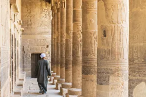 Guradian at the Temple of Philae on an island in Lake Nasser, Nile River, Aswan, Egypt Guradian at the Temple of Philae on an island in Lake Nasser, Nile River, Aswan, Egypt