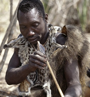 A Hadza hunter checks the straightness of a new arrow shaft A Hadza hunter checks the straightness of a new arrow shaft