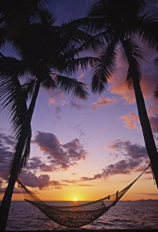 Tropical Beach Relaxation Prints: Hammock on beach
