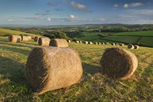 Northern Europe Rural Scenes Prints: Hay Bales in the rolling fields of Mid Devon, England. Autumn (September)