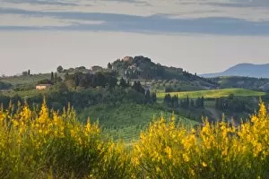 Images Dated 9th May 2009: Hilltop village nr Asciano, Tuscany, Italy