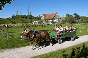 Historic horse-drawn carriage in Illerbeuern, Allgaeu, Bavaria, Germany Historic horse-drawn carriage in Illerbeuern, Allgaeu, Bavaria, Germany