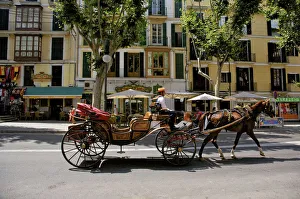 Horse and Carriage, Palma, Mallorca, Spain Horse and Carriage, Palma, Mallorca, Spain