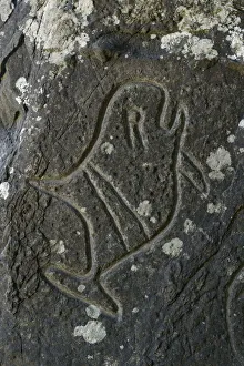 Indian Carvings on Rocks at Cape Alava, Olympic National Park, Clallam County, Washington Indian Carvings on Rocks at Cape Alava, Olympic National Park, Clallam County, Washington