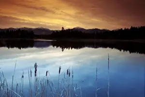 Canadian Rocky Prints: Invermere Morning Pond Print