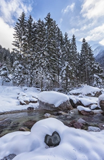 Italy, Friuli-Venezia Giulia, winter river and forest Italy, Friuli-Venezia Giulia, winter river and forest