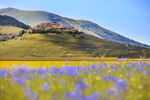 Italy, Umbria, Village of Castelluccio seen above fields of cornflowers Italy, Umbria, Village of Castelluccio seen above fields of cornflowers