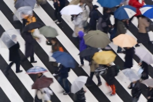 Japan, Honshu, Tokyo, Ginza, Sukiyabashi crossing Japan, Honshu, Tokyo, Ginza, Sukiyabashi crossing